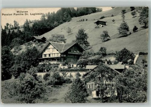 3711 Mülenen 1913 - Pension Luginbühl