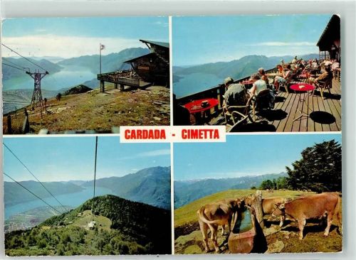 Cardada Cimetta - Kühe Selbahn Gasthaus