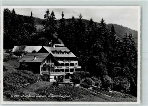 3657 Schwanden (Sigriswil) - Kurhaus Pension Blumenbergbad