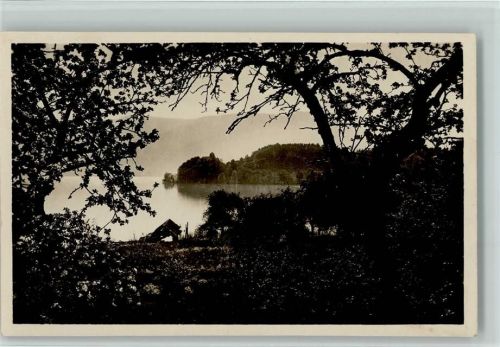 6343 Buonas - Gasthaus und Pension Wilder Mann am Zugersee