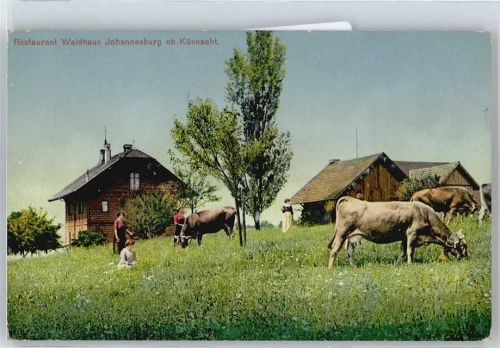 8700 Küsnacht ZH - Restaurant Waldhaus Kühe