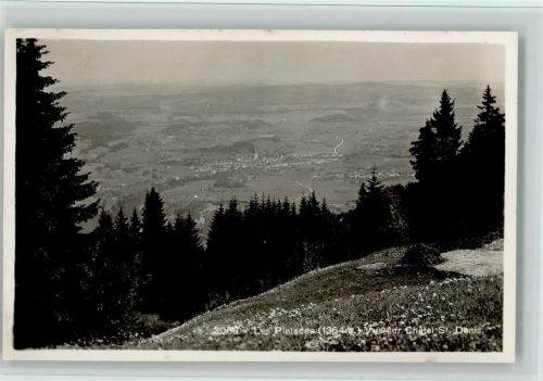 1618 Châtel-St-Denis - Les Plaiades vue sur Châtel St. Denis Bäume