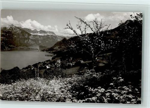 8758 Obstalden - mit Walensee