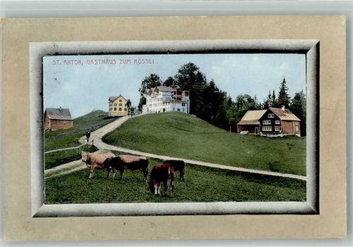 9413 Oberegg 1912 Foto AK St. Anton Gasthaus zum Rössli Kuhherde