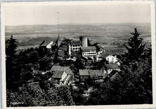 8158 Regensberg - Schloss