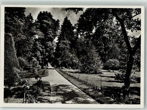 8265 Mammern 1946 Foto AK parkpartie