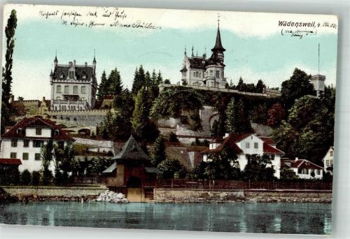 8820 Wädenswil 1902 Foto AK