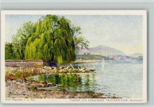 8805 Richterswil Künstlerkarte Partie am Zürichsee Trauerweide Nach Oelgemälde v. A. Stutz