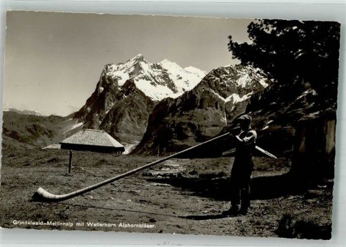 Grindelwald Foto AK Alphornbläser Mettlenalp Wetterhorn