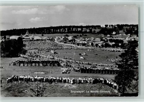 2350 Saignelégier - Le Marche - Concours , sehr gute Erhaltung AK