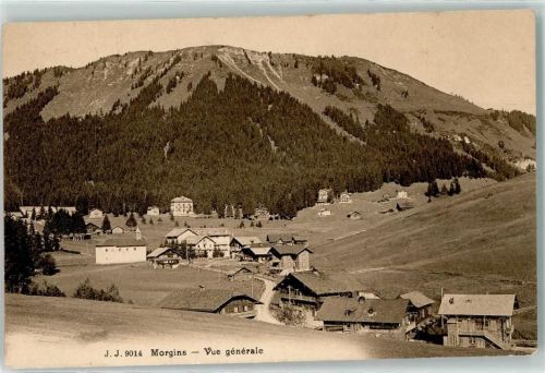1875 Morgins