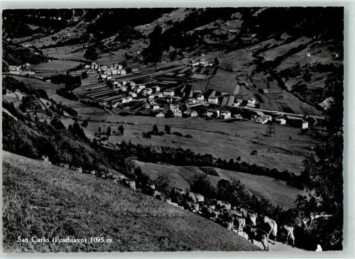 7741 S. Carlo Poschiavo