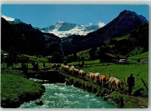 Wildstrubel - Alpabfahrt Kühe