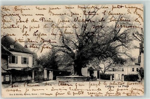 1298 Céligny Bossey 1906 - La Place