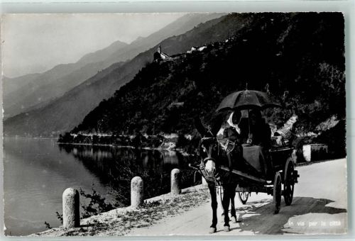 6648 Minusio 1959 - in via per la citta Esel mit Wagen