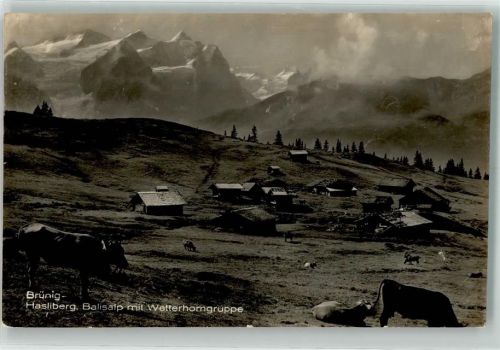 3860 Brünig - Balisalp Wetterhorn Kühe Hasliberg Feldpost Bataillon 45