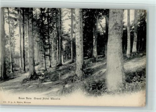 2532 Magglingen Macolin - Sous Bois Grand Hôtel Mâcolin Bäume Wald