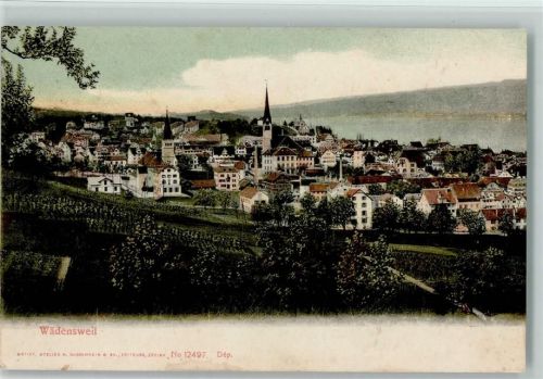 8820 Wädenswil 1906