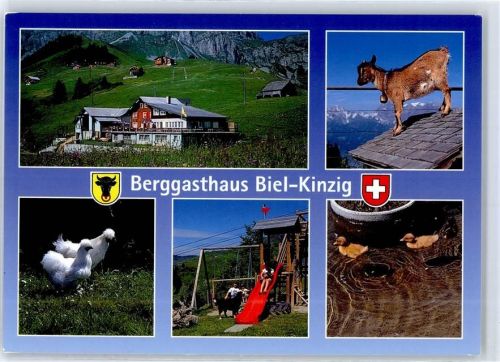 6463 Bürglen UR - Berggasthaus Gisler-Mittler AKU1