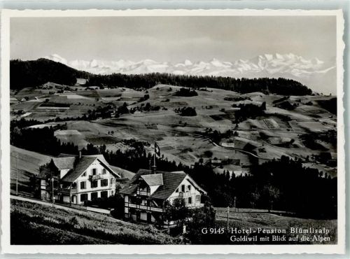 3624 Goldiwil Thun Gebrauchsspuren Hotel Pension Blümlisalp