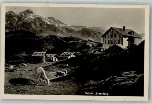 Grosse Scheidegg Foto AK Hotel