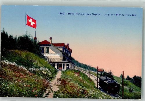 1807 Blonay Foto AK Bergbahn Hotel Pension des Sapins