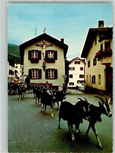 7537 Müstair Münster 1982 Foto AK Ziege Heimkehr der Herde