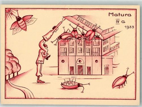 1933 Gebrauchsspuren Matura Maikäfer AK
