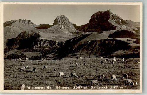 Gantrisch Foto AK Wirtneren Gr. Nünenen Gantrisch