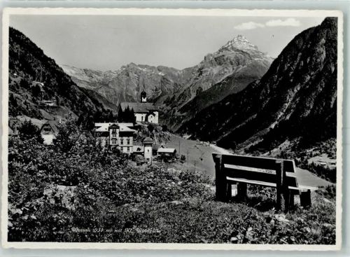 6484 Wassen UR - Wildgälle