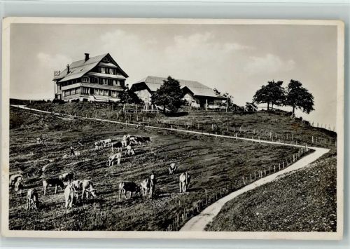 8636 Wald ZH - Gast- und Kurhaus Alp Scheidegg Kühe