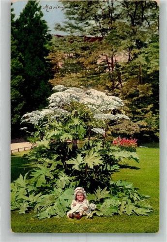 8000 Zürich Foto AK Städtische Anlagen