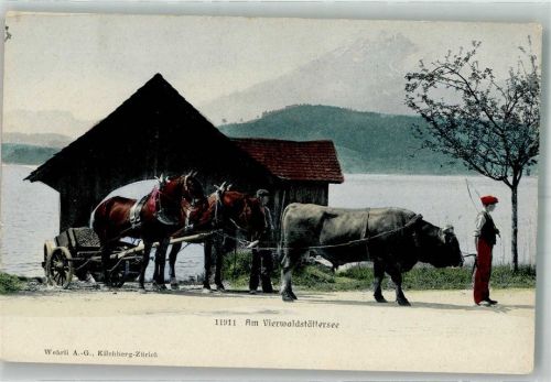 6000 Luzern Lucerne Foto AK Ochsenkarren Pferde Am Vierwaldstättersee