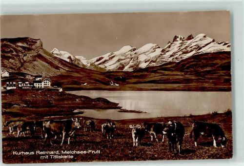 6068 Melchsee-Frutt - Kurhaus Reinhard Kuhherde Titliskette