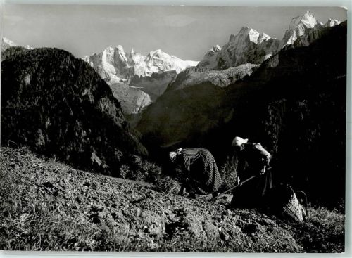 7610 Soglio - Kartoffelernte