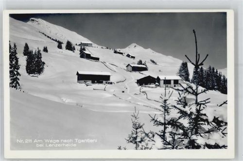 7078 Lenzerheide/Lai - Am Wege nach Tgantieni