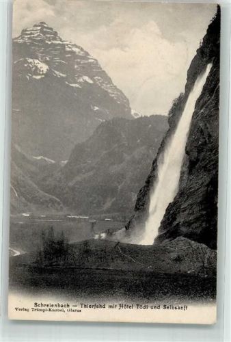 8783 Linthal 1906 - Thierfehd Hotel Tödi Selbsanft