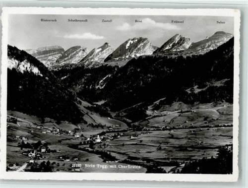 9655 Stein SG - Toggenburg mit Churfirsten Hinterruck Scheibenstoll Zustoll Brisi Frümsel Selun