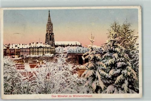 3000 Bern Berne - Münster im Winterschmuck