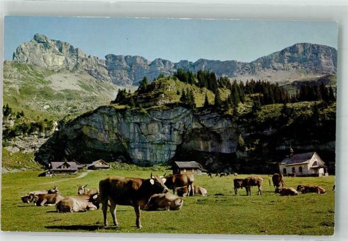 Aelggialp Foto AK Aelggi-Alp Brüninghaupt