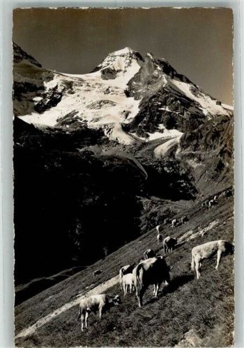 Obersteinberg Foto AK