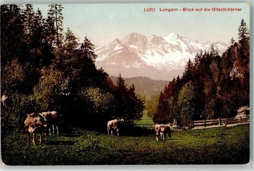 6078 Lungern - Kühe Oitschihörner