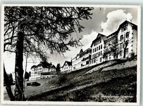 8881 Walenstadtberg Foto AK Sanatorium Foto Gross