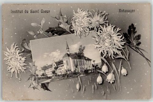 1470 Estavayer-le-Lac 1910 Lithographie Institut Blumen