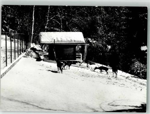 8374 Dussnang Winter Wildgehege Kneipp-Kurhaus