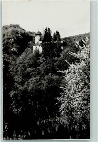 4144 Arlesheim - Schloss Birseck