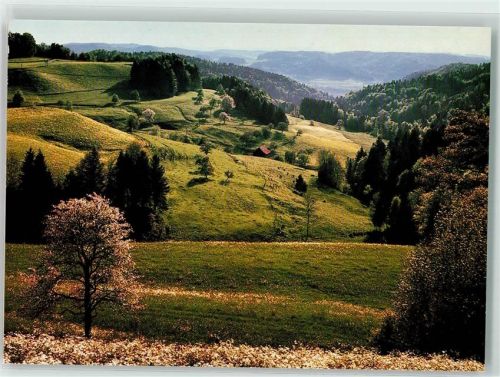 8495 Sitzberg Schmidrüti - Kartenaktion Gewaltfreie Aktion gegen Atomkraftwerke 1987