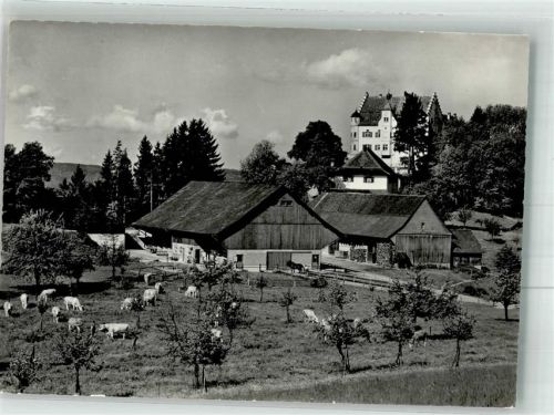 9507 Stettfurt 1971 Foto AK Schloss Sonnenberg