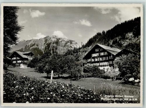 3764 Weissenburg - Pension Müller, Sternen