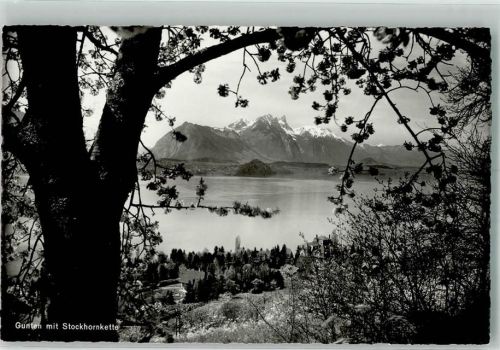 3654 Gunten 1941 Foto AK